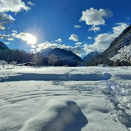 Apartma Stenar Appartamento Mojstrana