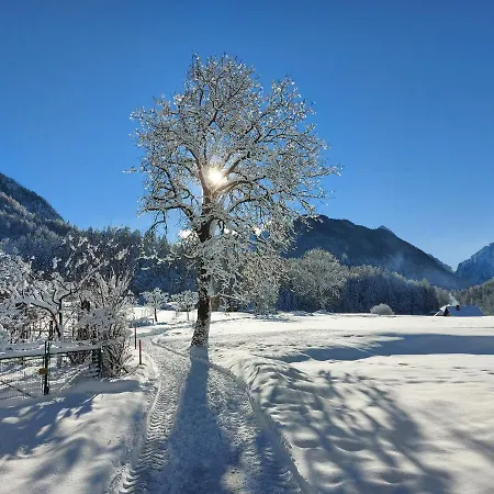 Apartma Stenar Appartamento *