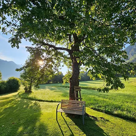 Apartment Apartma Stenar Mojstrana