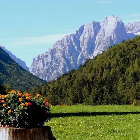 Apartma Stenar * Mojstrana