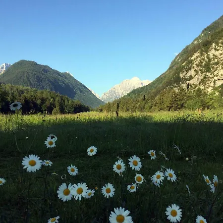 아파트 Apartma Stenar 모스트라나