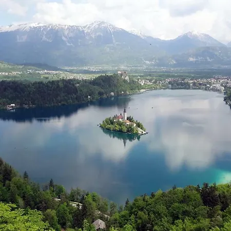 Apartma Stenar Mojstrana