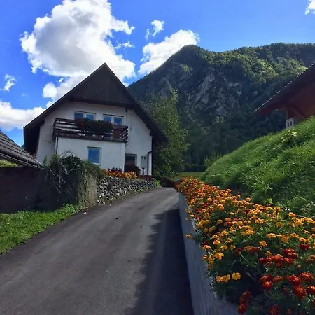Apartmán Apartma Stenar *