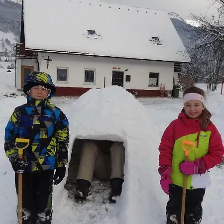 Apartma Stenar Apartment Mojstrana