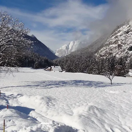 Apartma Stenar 모스트라나