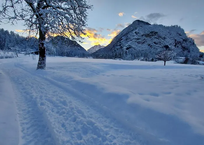 Apartma Stenar * מויסטראנה