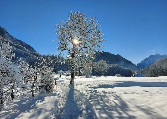 Apartma Stenar דירה *