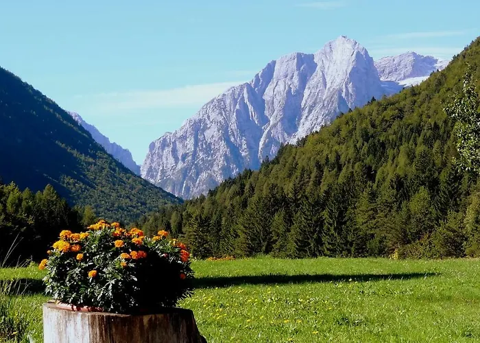 Apartma Stenar * מויסטראנה