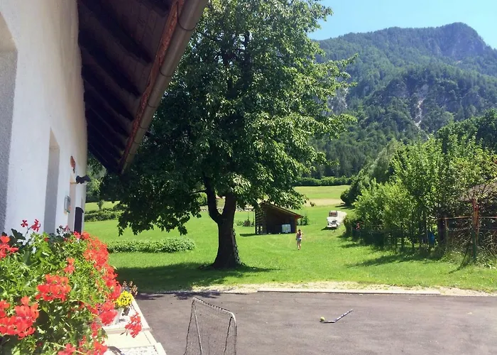 Apartma Stenar * מויסטראנה