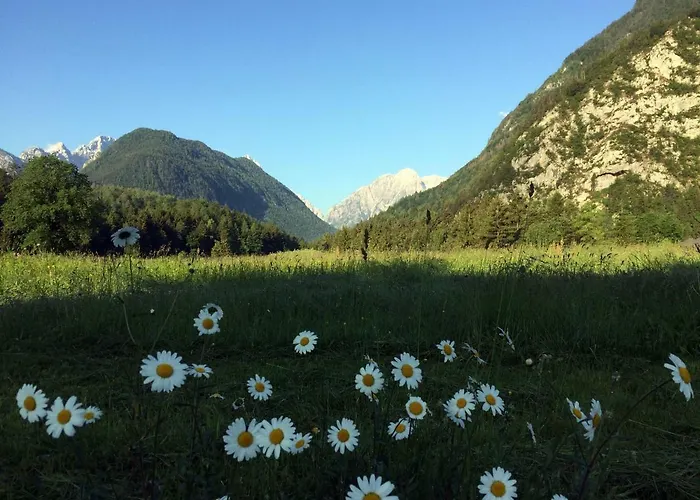 דירה Apartma Stenar מויסטראנה